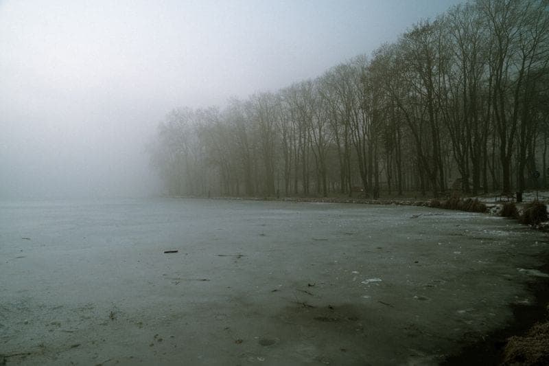 A frozen lake and bare winter trees veiled in mist